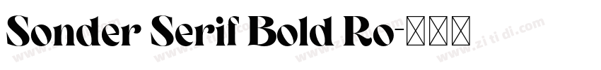 Sonder Serif Bold Ro字体转换